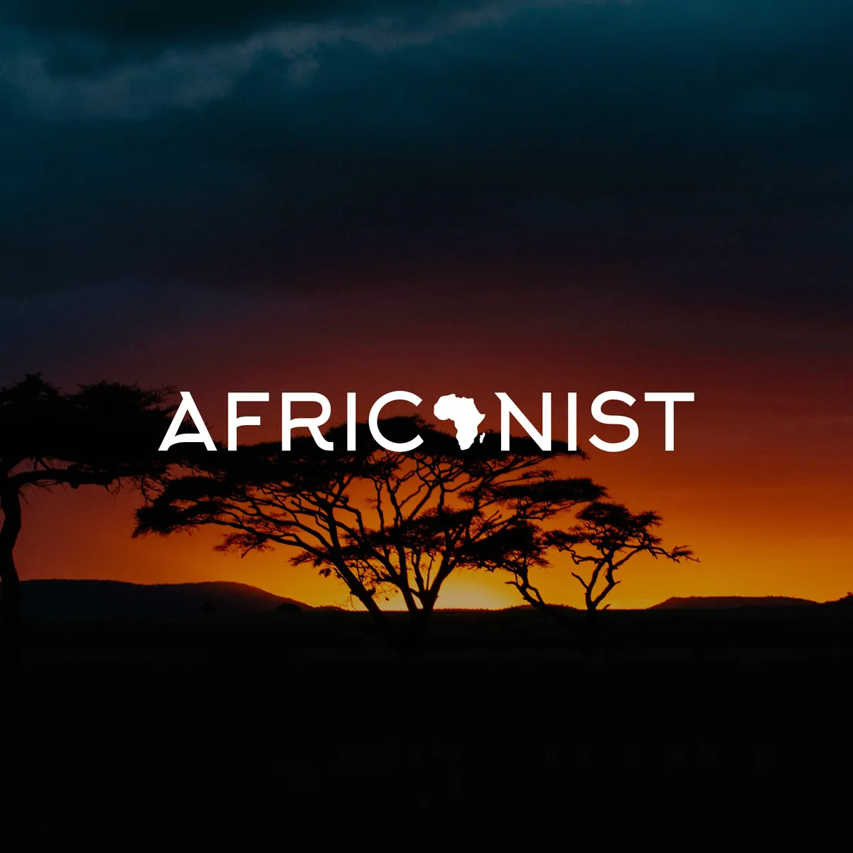 Africanist brand identity application 1