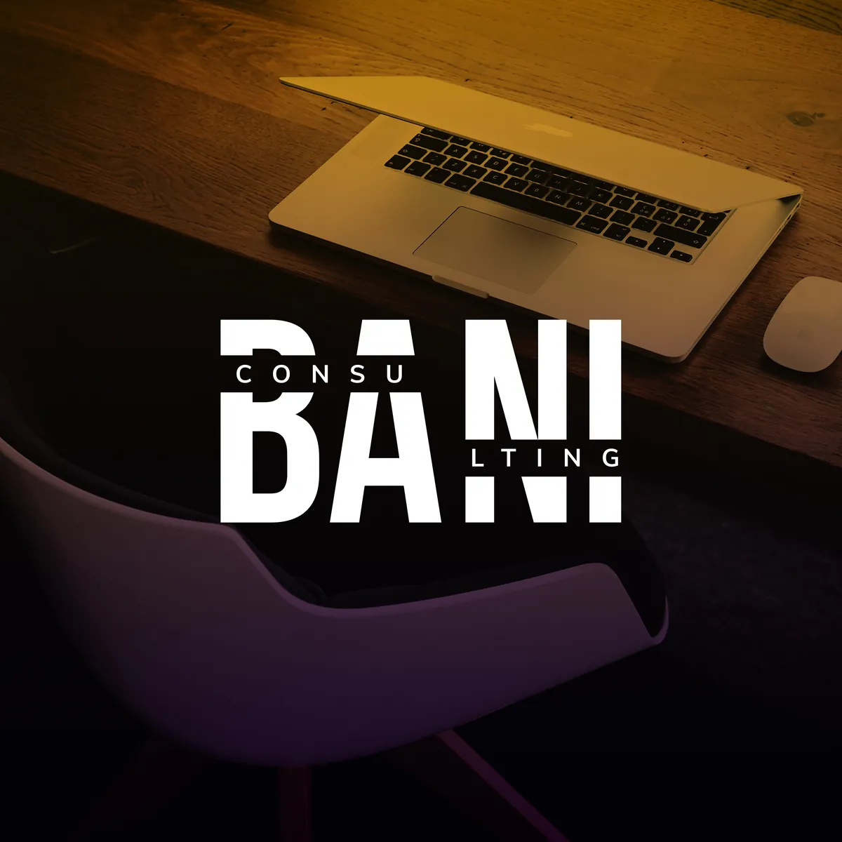 Bani Consulting brand identity application 2